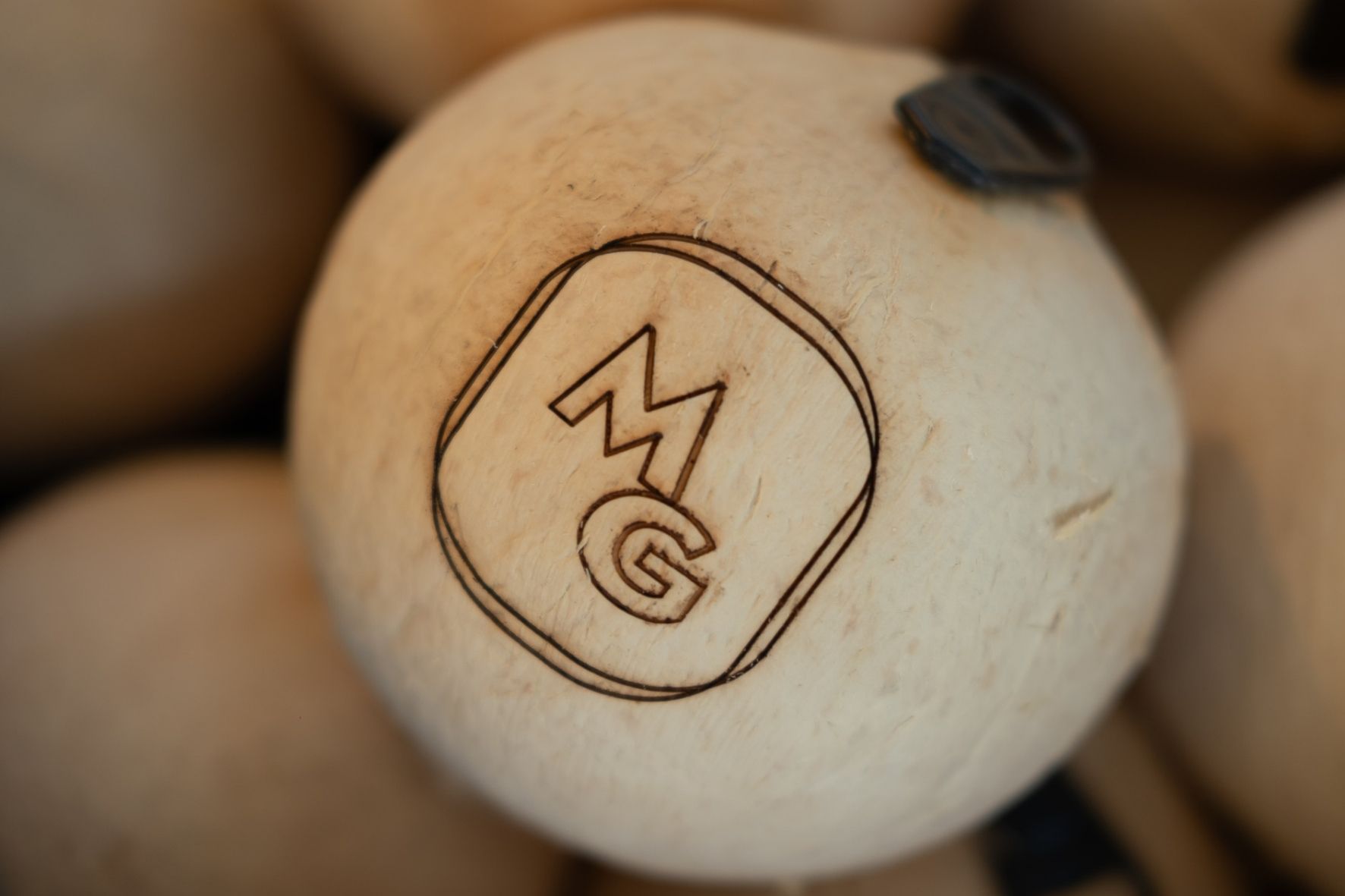 casamento em ilhabela