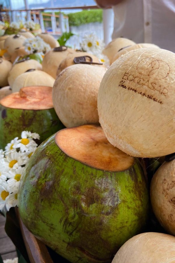 canoa de coco casamento na praia